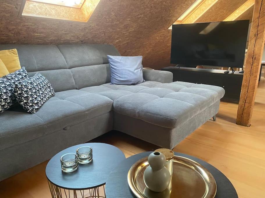 Appartement Bambergbase - Gemuetlich Und Zentral Im Dach *